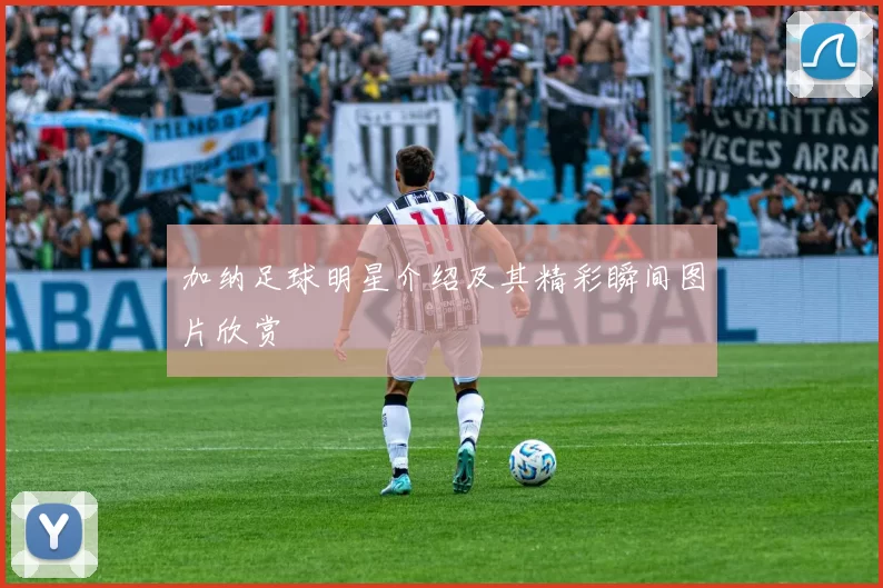 加纳足球明星介绍及其精彩瞬间图片欣赏