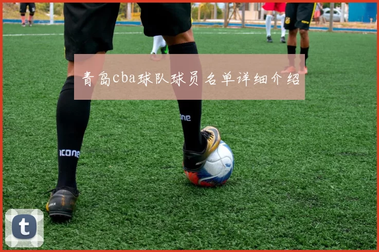 青岛cba球队球员名单详细介绍