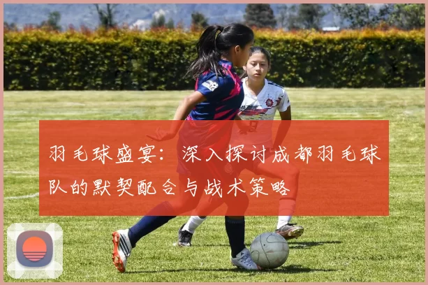 羽毛球盛宴：深入探讨成都羽毛球队的默契配合与战术策略