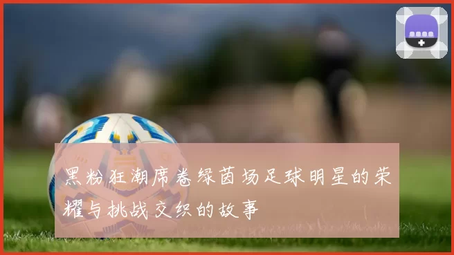 黑粉狂潮席卷绿茵场足球明星的荣耀与挑战交织的故事